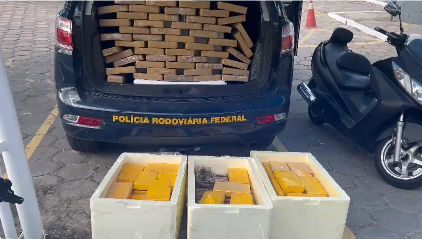 PRF apreende mais de 185 tabletes de cocaína dentro de caminhão frigorífico em THE