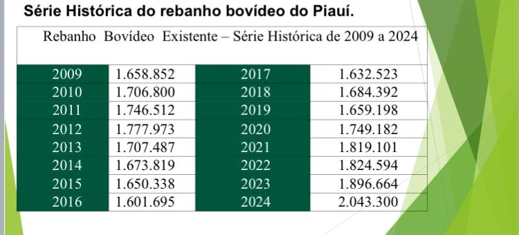 Rebanho bovino piauiense ultrapassa as duas milhões de cabeças pela primeira vez