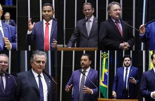 Deputados federais do Piauí (Foto: Ccom)