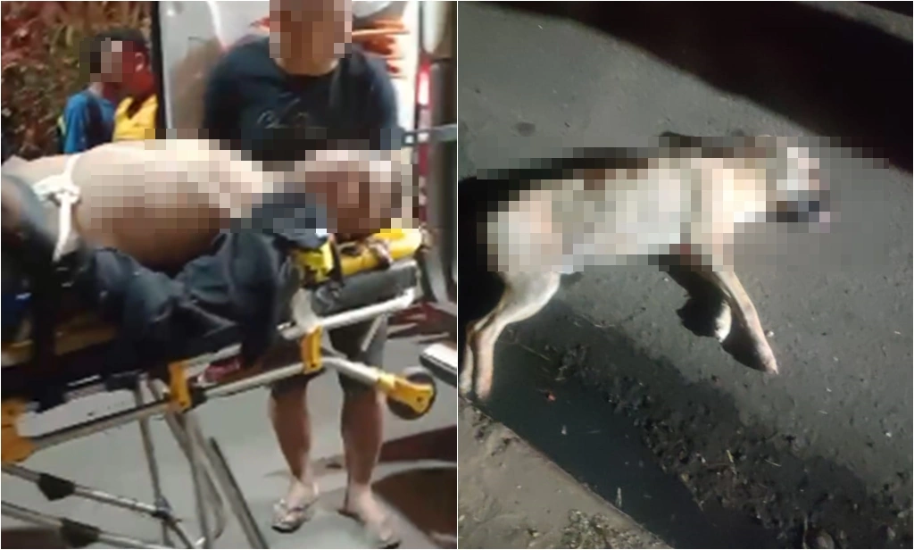 Altos: suspeito de assalto morre após bater em cachorro enquanto fugia da polícia