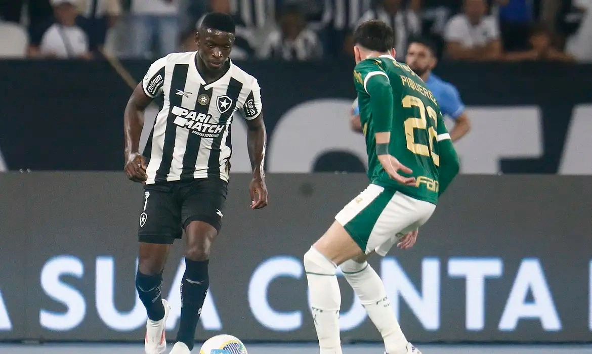 Botafogo recebe Palmeiras no primeiro jogo das oitavas da Libertadores