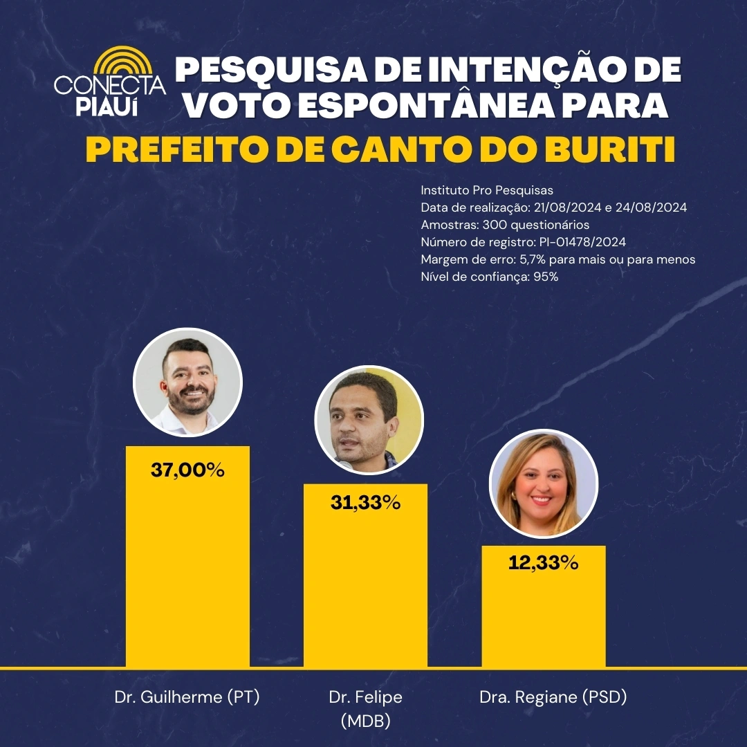 Cenário de pesquisa espontânea para Canto do Buriti