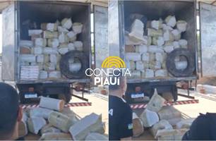 Grande quantidade de cigarro é apreendido na BR-316 que liga Demerval a Teresina (Foto: Reprodução)