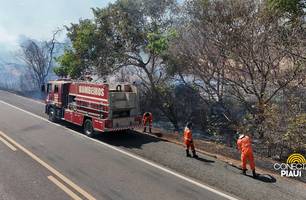 Incêndio na BR-230 entre Floriano e Oeiras (Foto: Conecta Piauí)