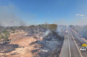 Incêndio na BR-230 entre Floriano e Oeiras (Foto: Conecta Piauí)