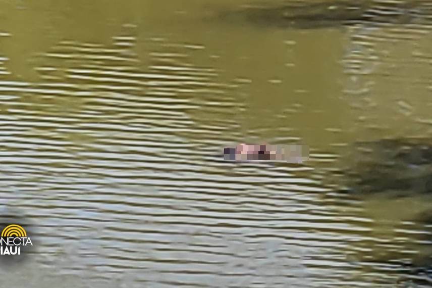 Corpo é encontrado boiando no Rio Poty na zona Sudeste de Teresina Corpo é encontrado boiando no Rio Poty na zona Sudeste de Teresina