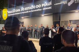 Denarc deflagra operação contra trafico de drogas na zona Sul de Teresina (Foto: Reprodução)