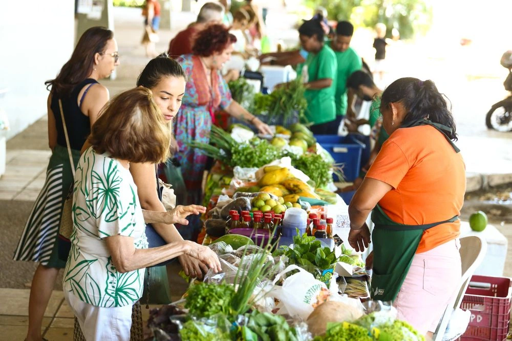 1ª edição da Quitanda da Agricultura Familiar acontece na UFPI neste domingo (26)