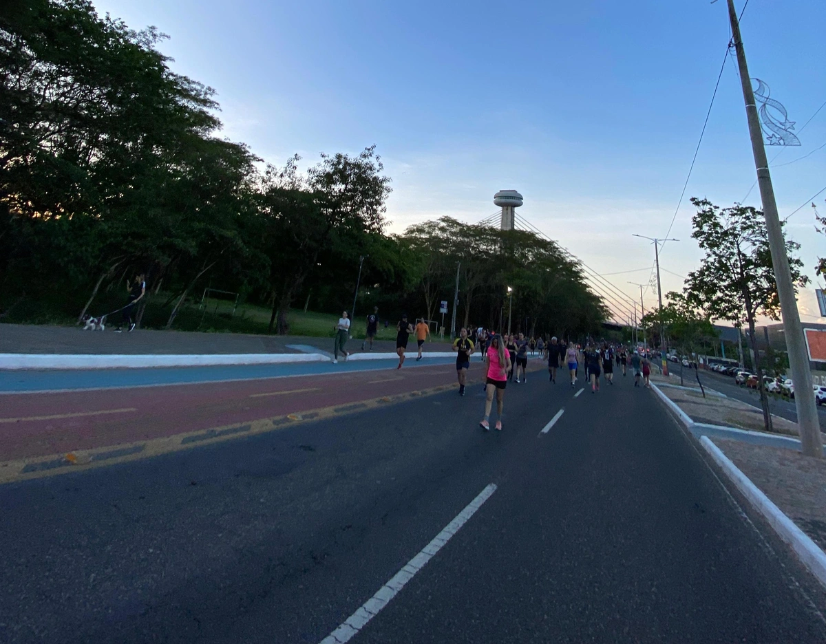Avenida Raul Lopes
