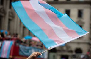 Bandeira Trans (Foto: Reprodução)