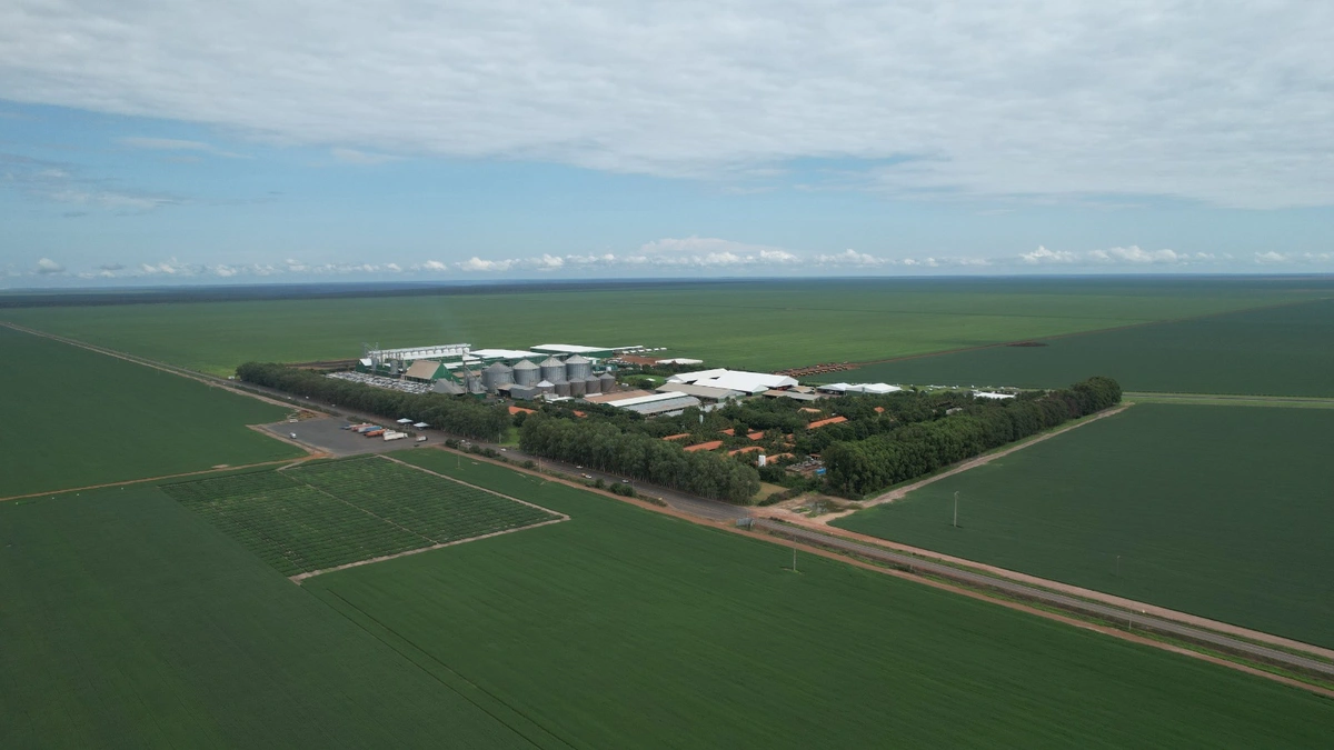 Fazenda Progresso consolida sucesso durante Dia de Campo Progresso Sementes 2025