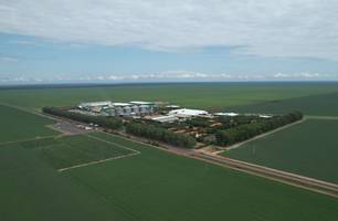 Fazenda Progresso consolida sucesso durante Dia de Campo Progresso Sementes 2025 (Foto: Conecta Piauí)