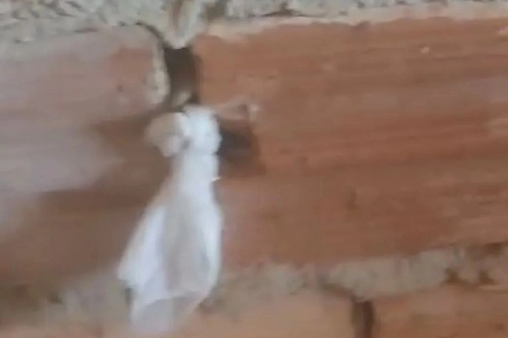 Mãe denuncia vizinho de se masturbar espiando sua filha de 4 meses em Barras