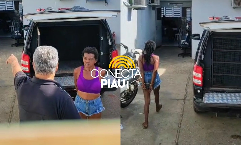 Mulher especialista em furtos é preso com mandado de prisão na cidade de Altos