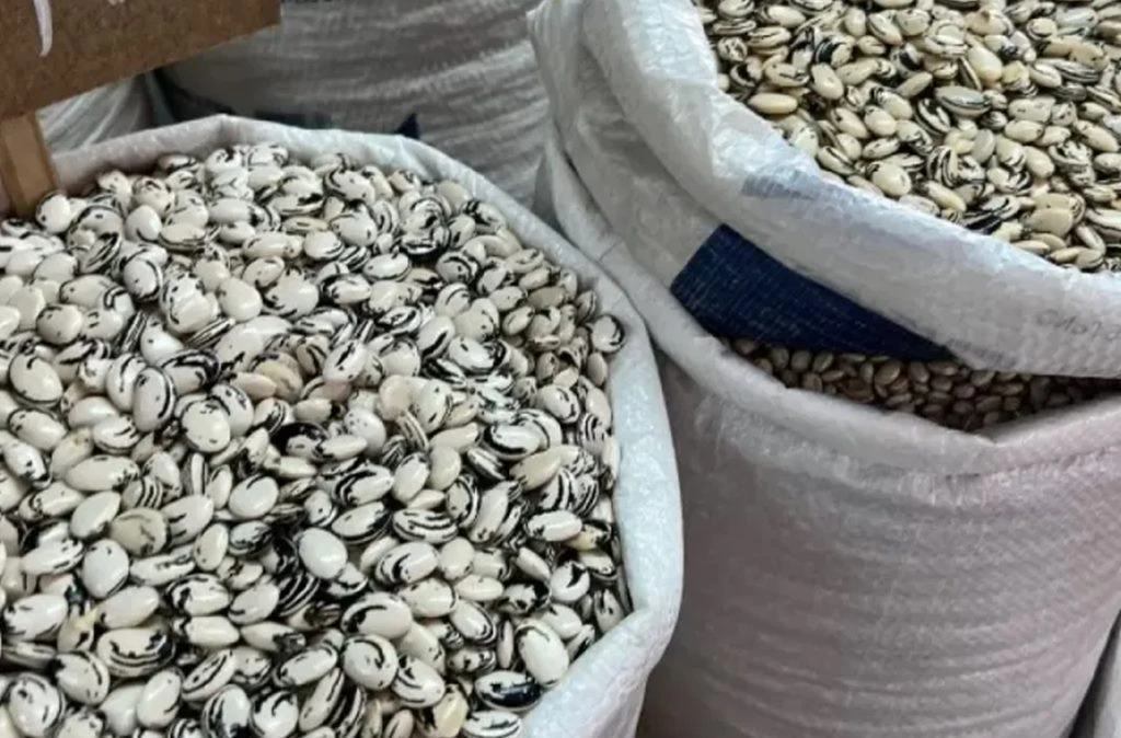 Produção de fava