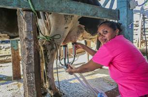 Produção na bacia leiteira piauiense volta a crescer após uma década (Foto: Geirlys Silva / Governo do Estado do Piauí)