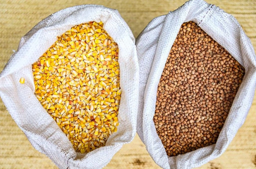 SAF realiza distribuição de sementes crioulas para agricultores familiares