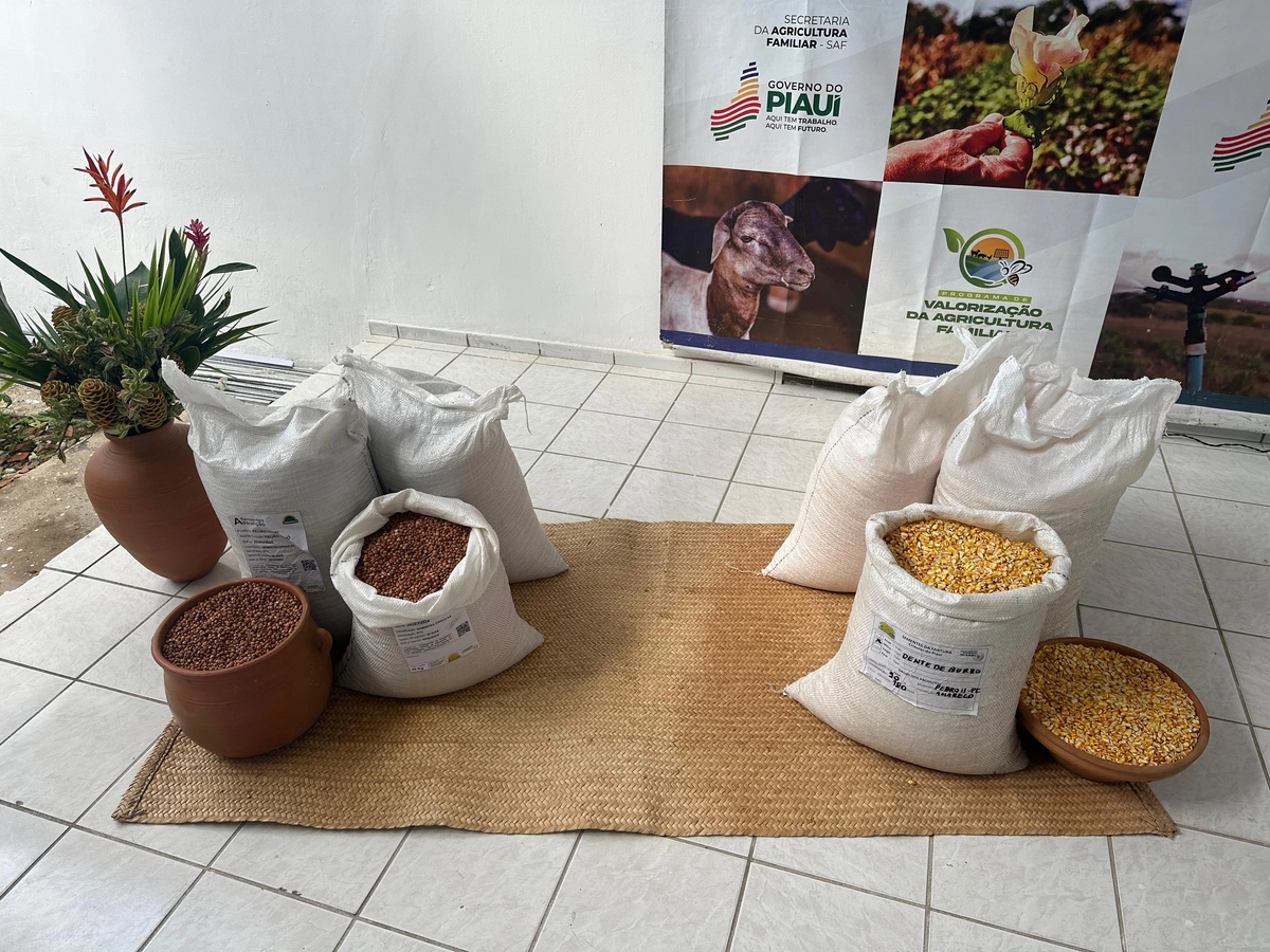 SAF realiza distribuição de sementes crioulas para agricultores familiares