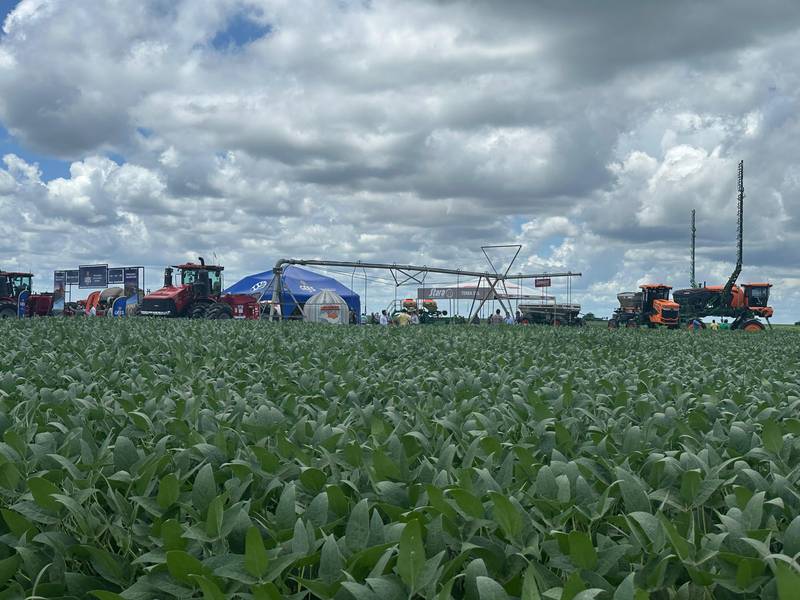 7º Dia de Campo Insolo da Fazenda Ipê reúne produtores e especialistas em Baixa Grande do Ribeiro