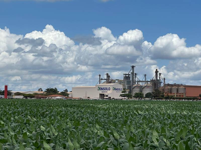 7º Dia de Campo Insolo da Fazenda Ipê reúne produtores e especialistas em Baixa Grande do Ribeiro