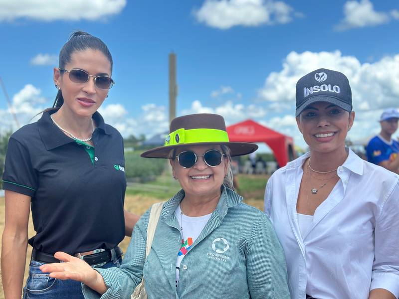 7º Dia de Campo Insolo da Fazenda Ipê reúne produtores e especialistas em Baixa Grande do Ribeiro