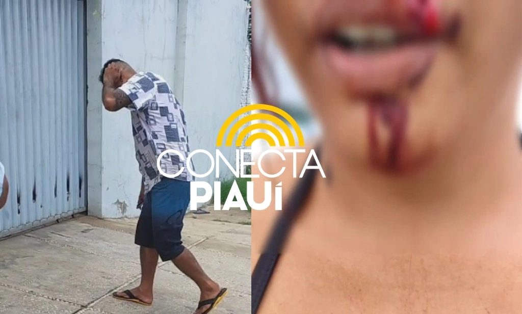 Agressor é preso após acertar pedrada em companheira na zona Rural de Teresina
