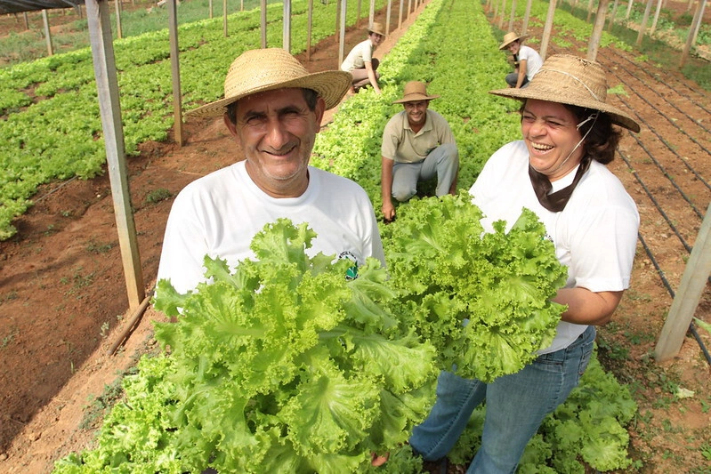 Agricultura Familiar