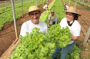 Agricultura Familiar (Foto: Reprodução/CNA)