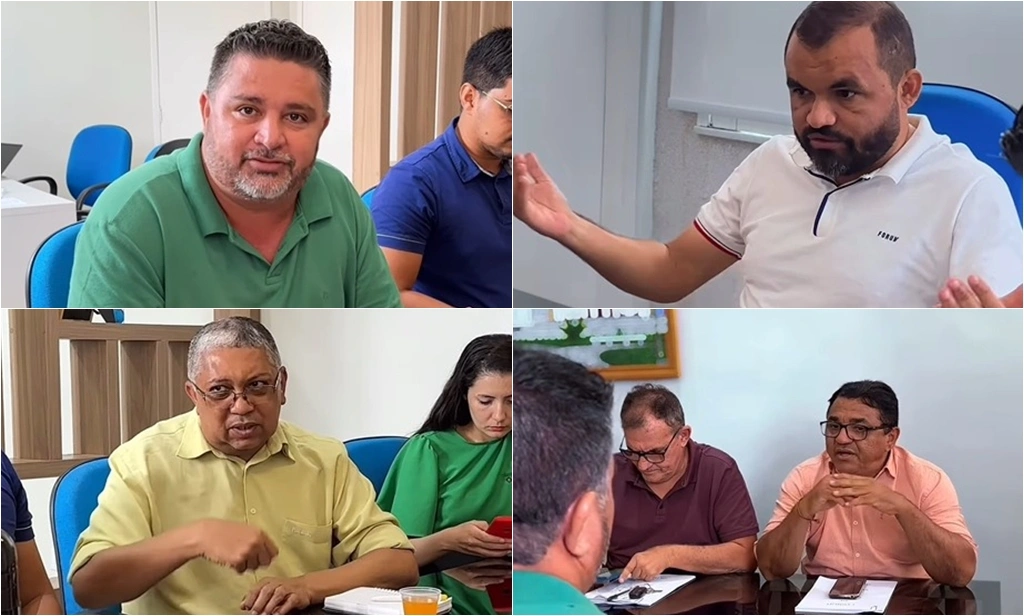 Autoridades de Oeiras debatem medidas para animais soltos nas ruas