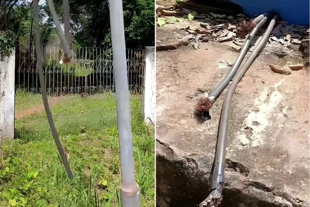 Criminosos furtam cabos de energia da estação de tratamento de água de Esperantina