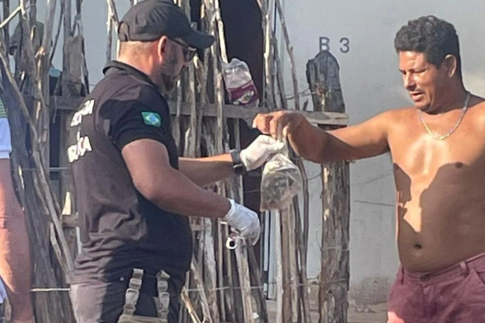 Manjubas que Francisco de Assis alegou estarem envenenadas
