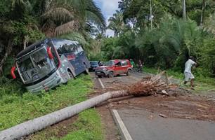Palmeira cai sobre carro e causa acidente com ônibus na PI-214, em Esperantina (Foto: Reprodução)