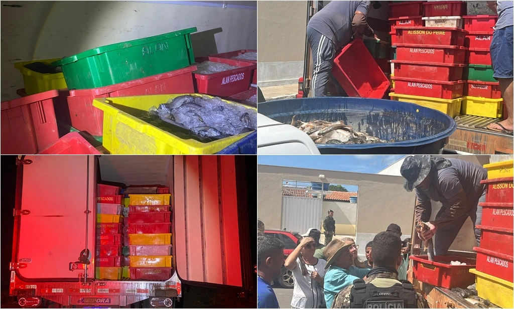 PM apreende carga ilegal com 8 toneladas de peixes em município no Piauí