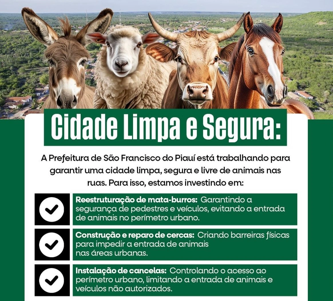 São Francisco do Piauí reforça ações para manter a cidade limpa e segura