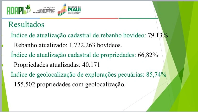 Um a cada três criadores de gado no Piauí não fez o recadastramento do rebanho