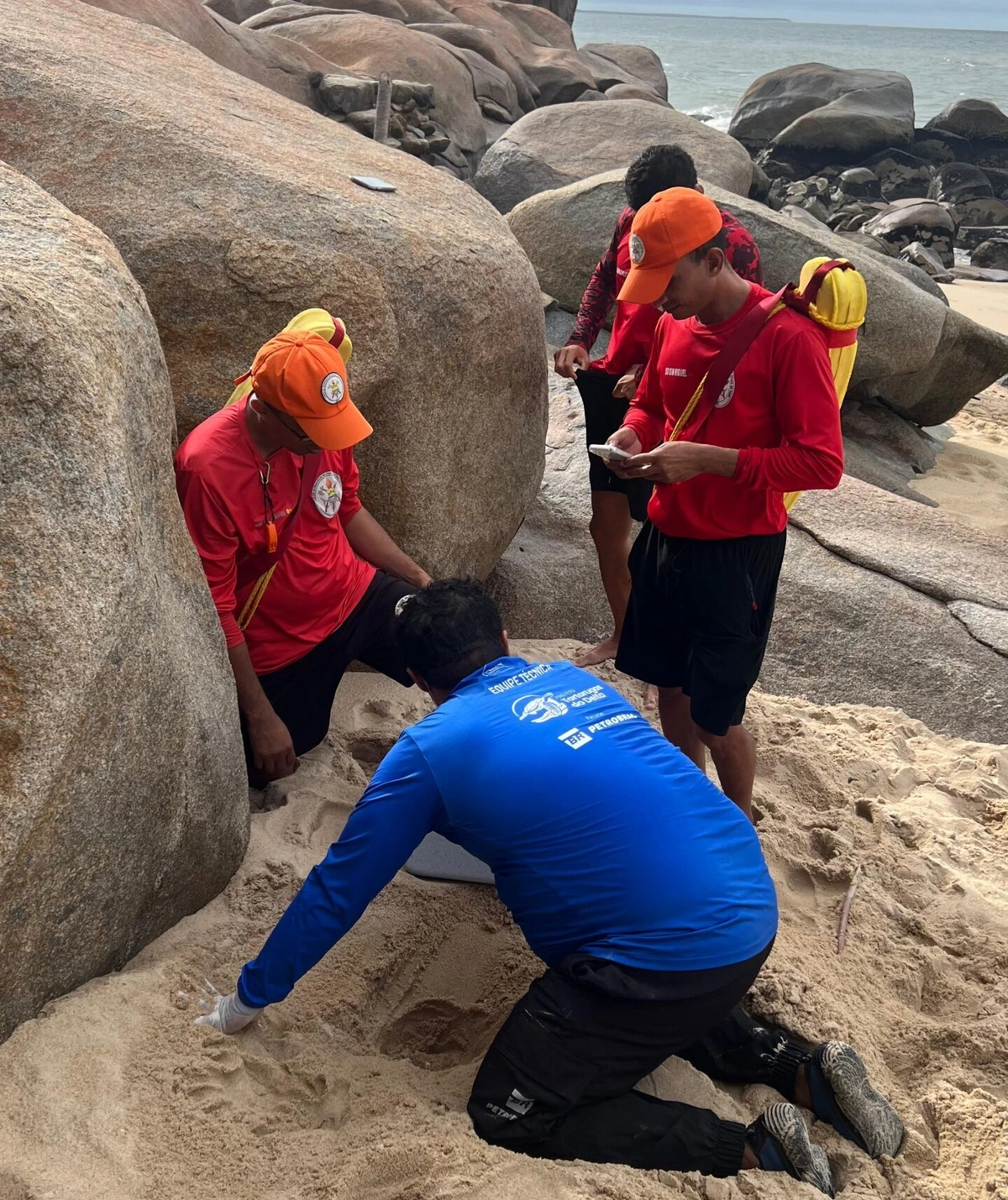 Bombeiros resgatam filhotes e ovos de tartarugas marinhas no litoral piauiense