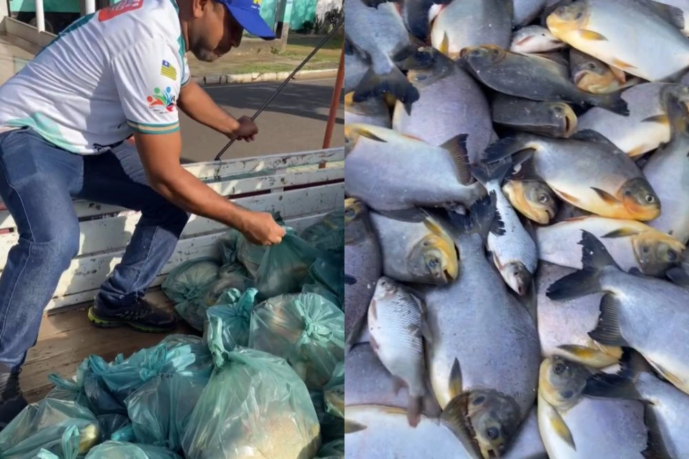Campo Largo do Piauí distribui uma tonelada de peixes para famílias carentes