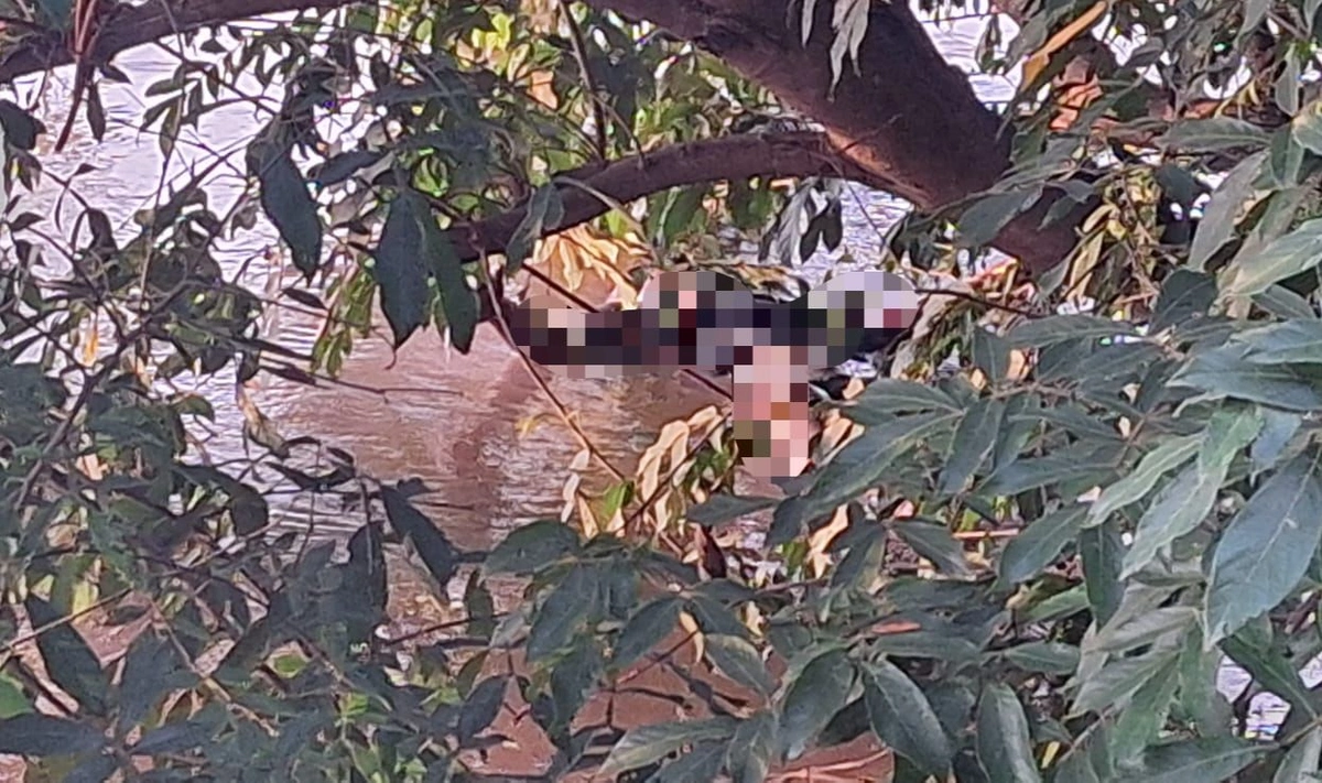 Corpo em avançado estado de decomposição é encontrado no Rio Parnaíba, em Nazária