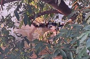 Corpo em avançado estado de decomposição é encontrado no Rio Parnaíba, em Nazária (Foto: Reprodução)