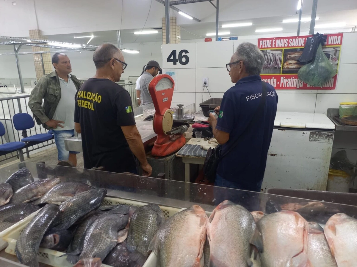 Fiscalização Imepi