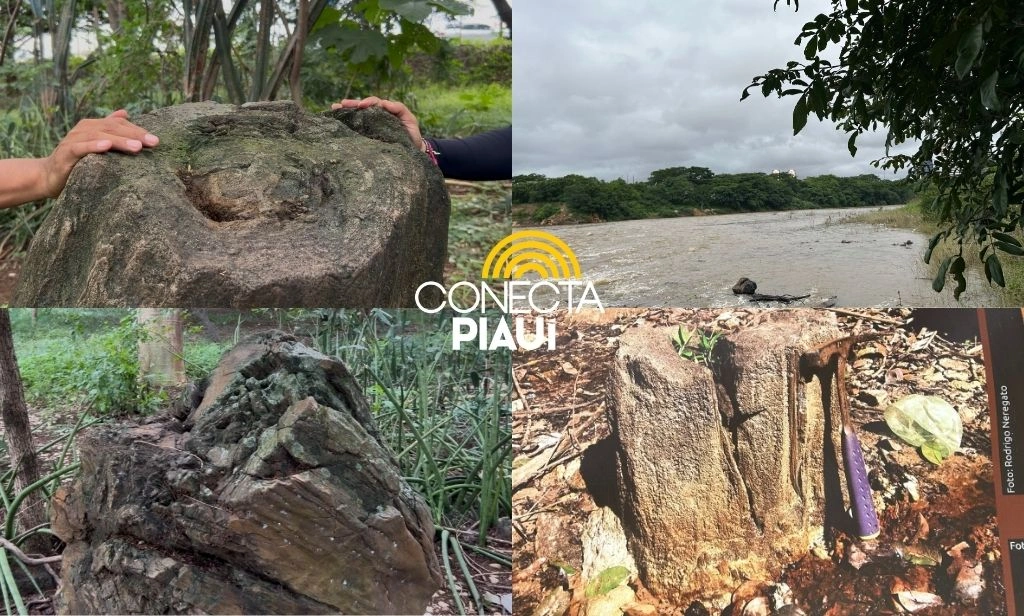 Floresta Fóssil de Teresina