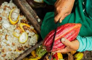 Ovos de páscoa ficam mais caros este ano com aumento no preço do cacau (Foto: Reprodução)