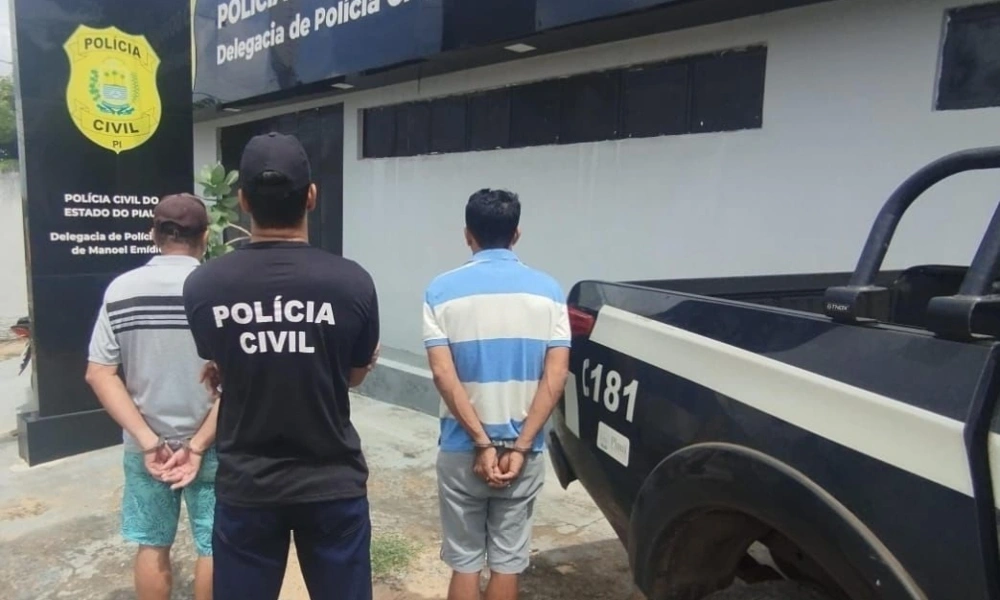 Polícia Civil faz prisões por estupro e violência doméstica no sul do estado