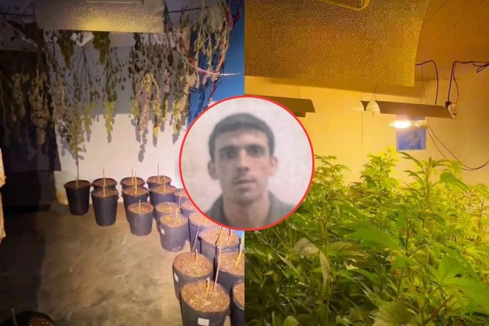 Saiba quem é o advogado preso com estufas de maconha na zona rural de Teresina