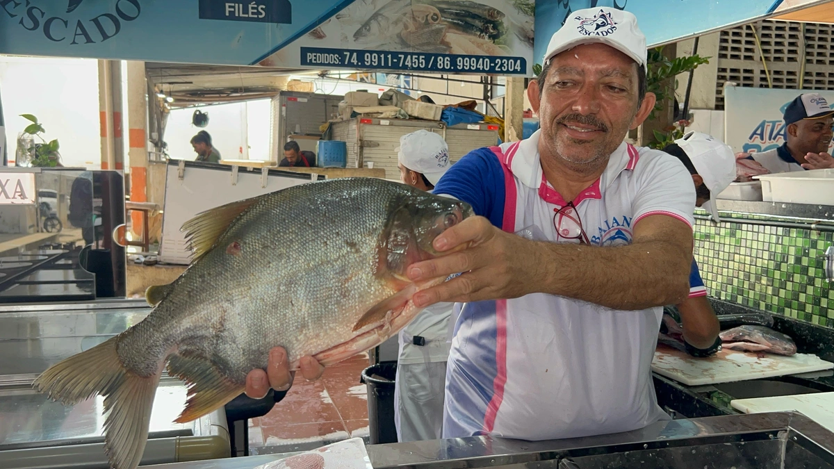 Venda de pescados na Quaresma tem alta nos preços e consumidores mantêm tradição
