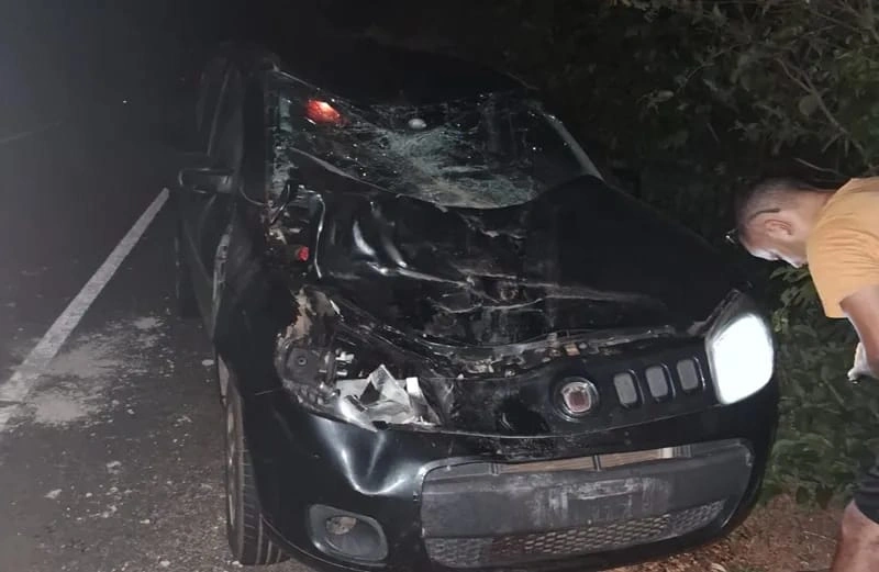 Família sobrevive a colisão com animal na pista entre Teresina e Castelo do Piauí