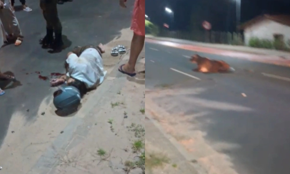 Jovem fica gravemente ferido após colidir com vaca na Estrada da Alegria em Teresina