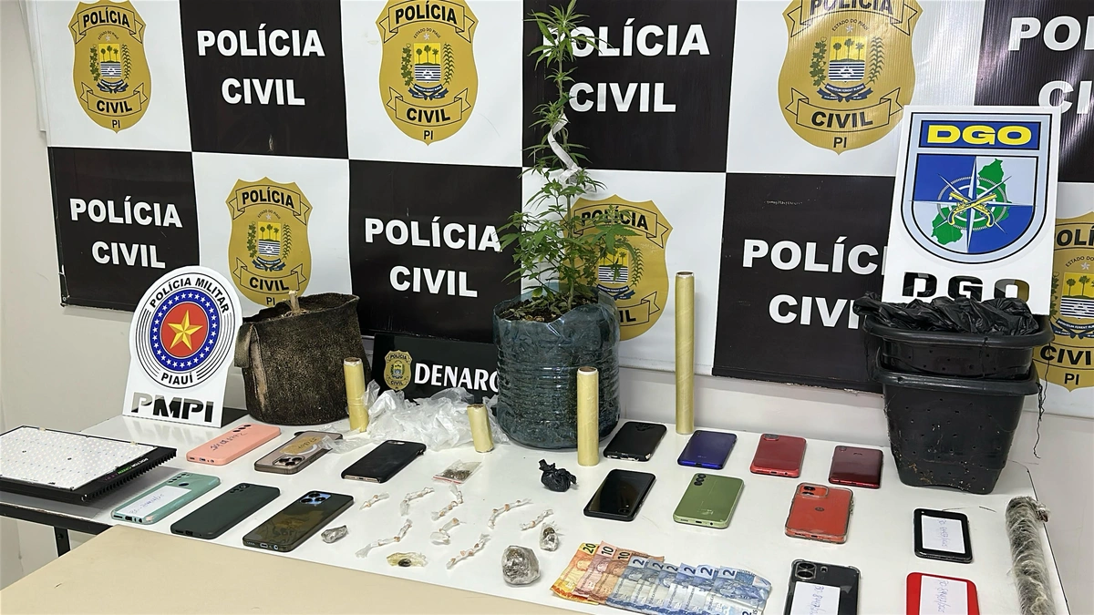 'Pra gente, não tem hora': diz delegado sobre operação que prendeu 8 em Teresina