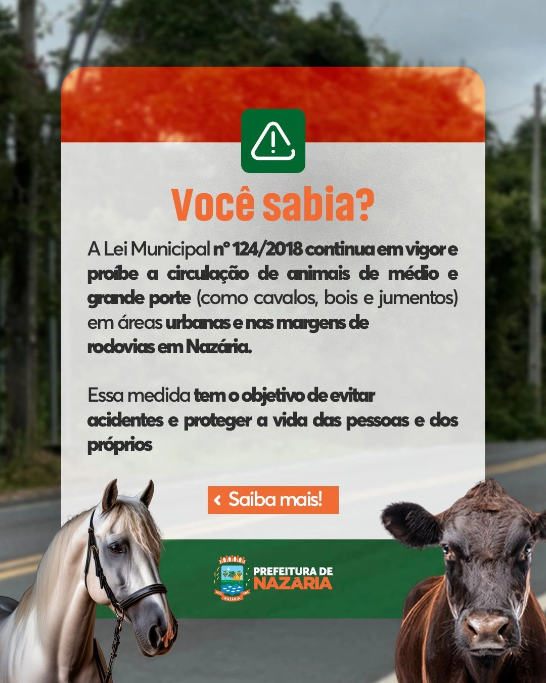 Prefeitura de Nazária reforça campanha de conscientização sobre animais soltos em vias públicas