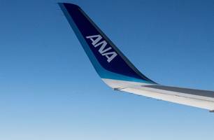 Avião desvia rota após passageiro tentar abrir porta durante voo para os EUA (Foto: Reprodução)